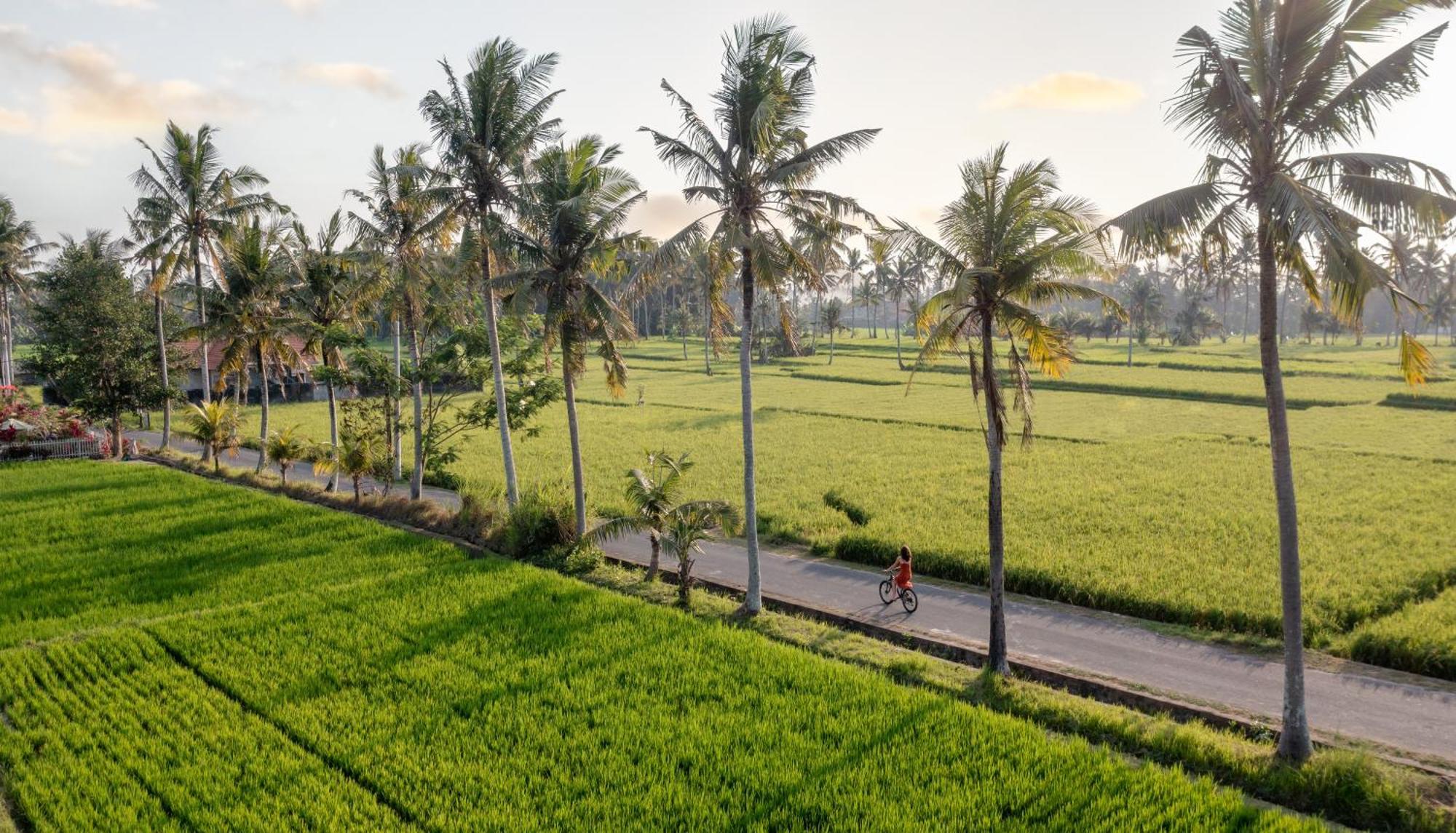 TheWakanda Resort A Pramana Experience Ubud  Luaran gambar