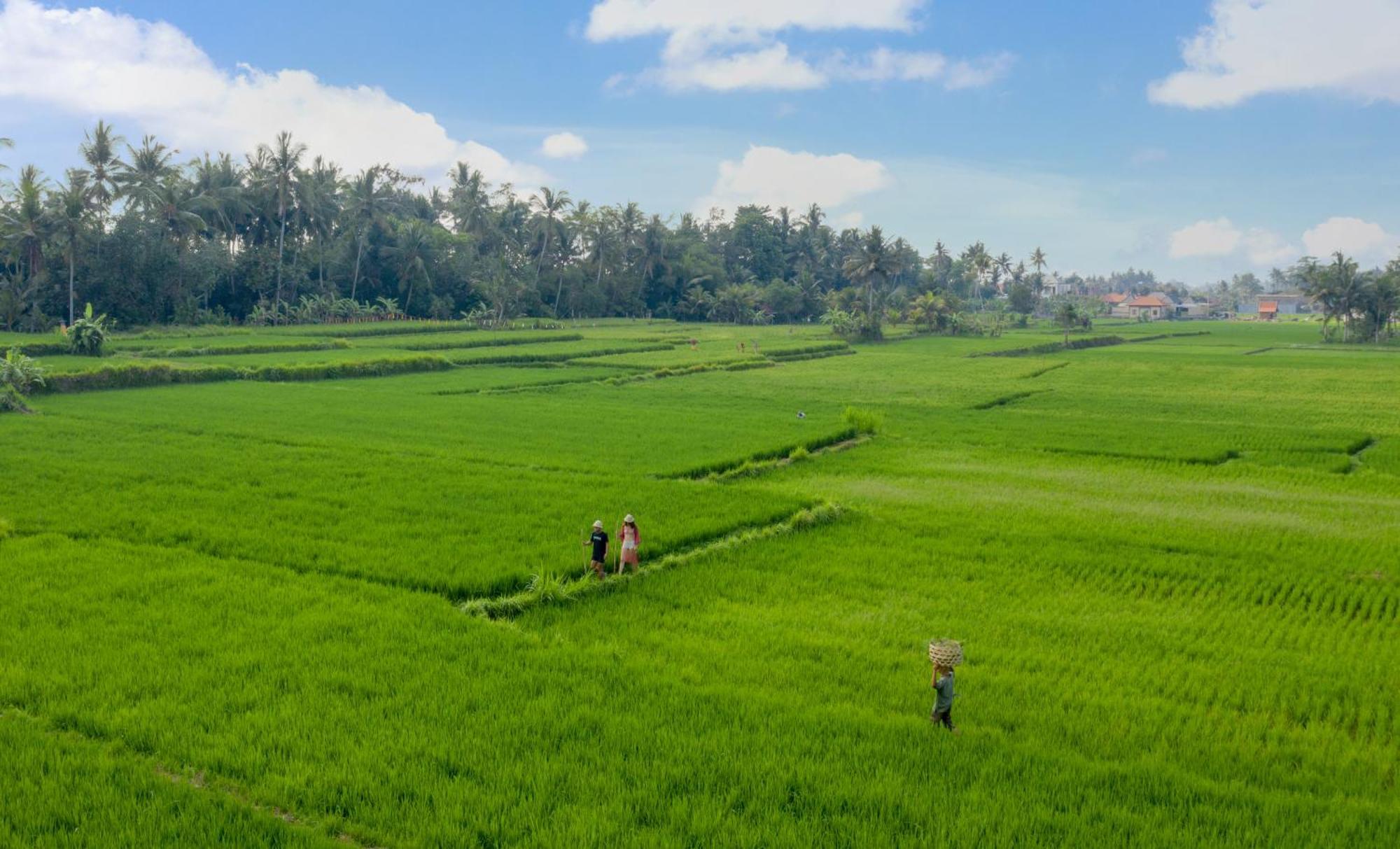 TheWakanda Resort A Pramana Experience Ubud  Luaran gambar